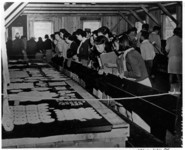 Needlework display. thumbnail