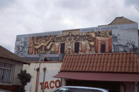 America Tropicana thumbnail