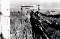 Fences 001 thumbnail