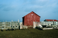 Gallegos farm, Vernacular architecture 003 thumbnail