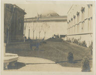 Denmark and Italy Buildings thumbnail