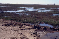 Pt. Mugu Wetlands thumbnail
