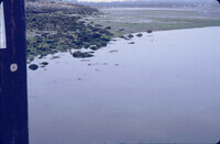 Area where creosote-impact infaunal cores were collected thumbnail