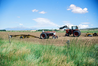 Kaber farm, Plowing and planting winter wheat 029 thumbnail
