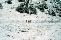 Stone horno and landscapes 026 thumbnail