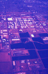 Phoenix thumbnail