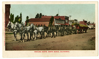 Hauling Beets, Santa Maria, California [front and back] thumbnail
