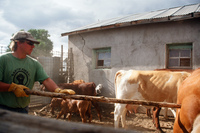 Colorado rural life 052 thumbnail