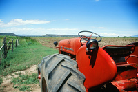 Kaber farm, Weed whacking 034 thumbnail