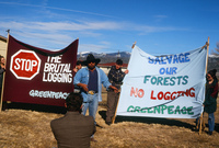 Logging protests 060 thumbnail