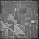 1992 BR-CVHAB 14-42 [Fresno County, California, aerial survey, 1992] thumbnail