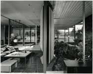 [Living room and outside patio, Shamel Residence] thumbnail