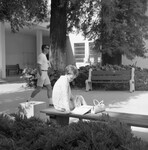 Students on campus thumbnail