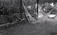 Michele Serros sleeping on a hammock thumbnail