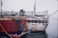 Squid fishing boat (white) at dock in Punta Arenas, Chile, near Antarctica thumbnail