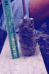 Pt. Mugu Wetlands thumbnail