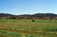 Kaber farm, Plowing 060 thumbnail