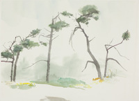 Lighthouse & Asilomar thumbnail