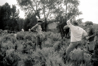 Gallegos farm, Building fences 027 thumbnail