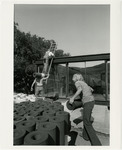 [Roof workers at Bridge House, Poly Canyon] thumbnail
