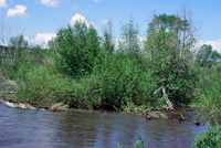 Mountain landscapes 028 thumbnail