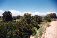 Gallegos farm, Irrigating crops and the Colorado Historical Society 011 thumbnail