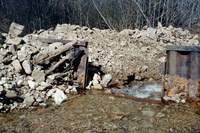 Maistas farm, Ditch and cattle 020 thumbnail