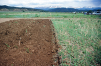 Kaber farm, Field burning and plowing 014 thumbnail