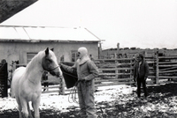Sanddeing Houte family 005 thumbnail