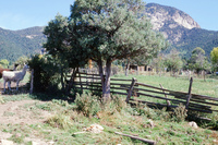 Torres ranch, Landscapes 015 thumbnail