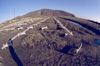 Pt. Mugu Wetlands thumbnail