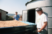 Kaber farm, Grain harvest 042 thumbnail