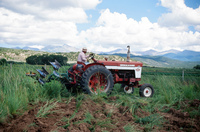 Kaber farm, Plowing 025 thumbnail
