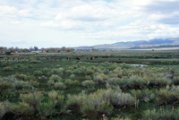 San Luis Valley landscapes 046 thumbnail