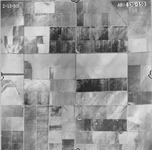 1950 ABI-17G-150 [Fresno County, California aerial survey, 1950]. thumbnail