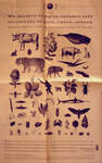 Biodiversity thumbnail