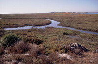 Pt. Mugu Wetlands thumbnail