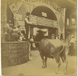 Philippine Village, on the Midway thumbnail