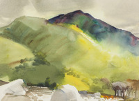 Kings River at Wonder Valley thumbnail