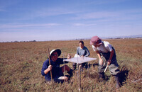 Pt. Mugu Wetlands thumbnail