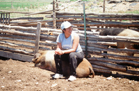 Colorado rural life 010 thumbnail