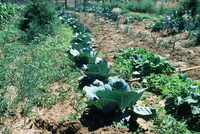 San Luis Valley 001 thumbnail