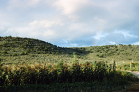 San Luis Valley farms 062 thumbnail