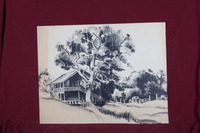 House and Tree Study thumbnail