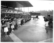 Pledging allegiance. thumbnail