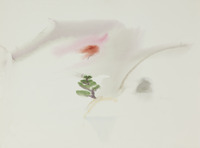 14 Shin Zen Garden thumbnail