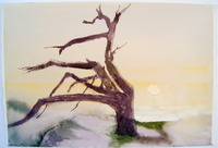 3 Asilomar PG thumbnail