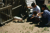 Kaber farm, Plowing 068 thumbnail