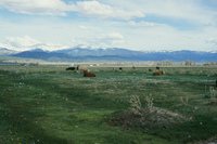 San Luis Valley landscapes 044 thumbnail