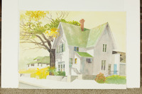 House With Green Roof thumbnail